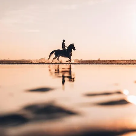 Close To Deauville, Seaview, Parking