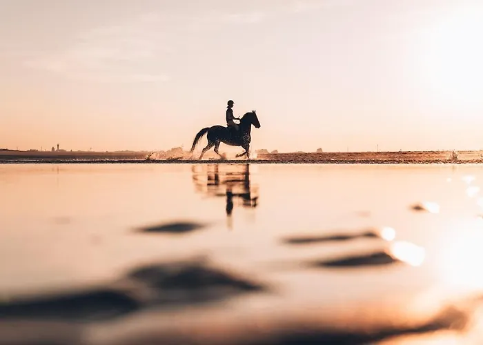 Close To Deauville, Seaview, Parking